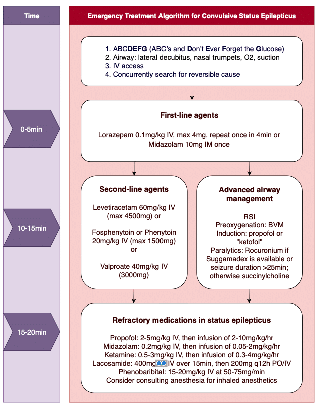 status epilepticus algorithm